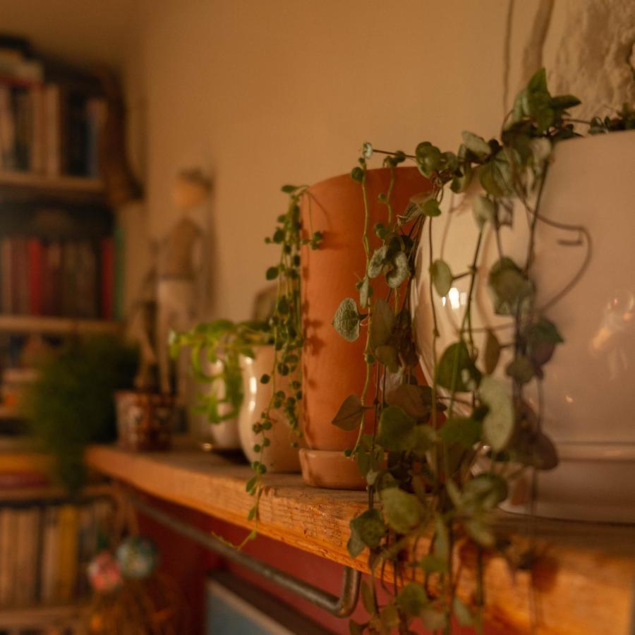 Udabno Hostel Dış mekan fotoğraf